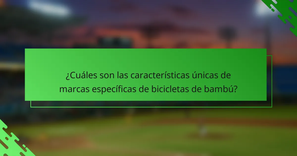 ¿Cuáles son las características únicas de marcas específicas de bicicletas de bambú?