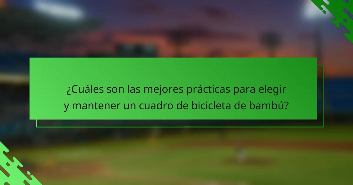 ¿Cuáles son las mejores prácticas para elegir y mantener un cuadro de bicicleta de bambú?