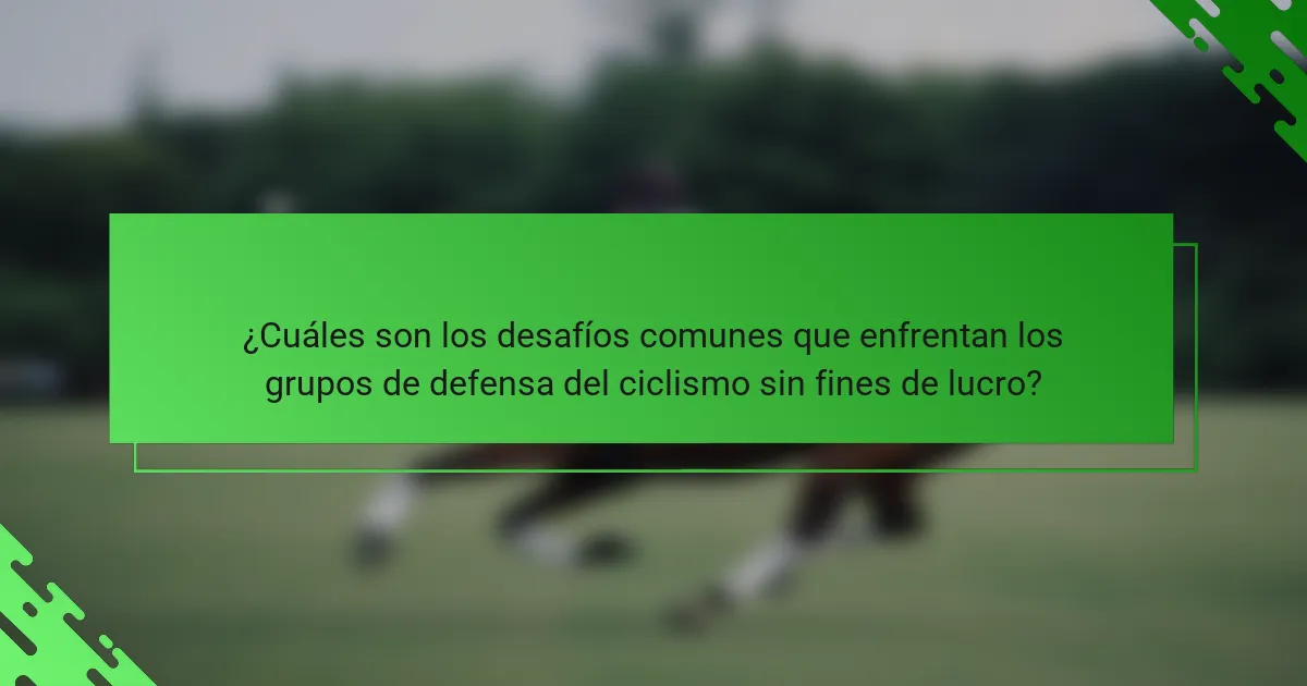 ¿Cuáles son los desafíos comunes que enfrentan los grupos de defensa del ciclismo sin fines de lucro?