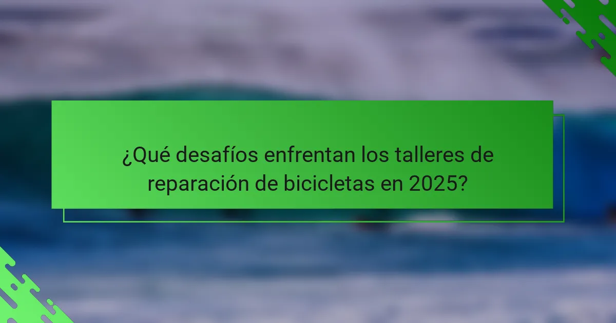 ¿Qué desafíos enfrentan los talleres de reparación de bicicletas en 2025?